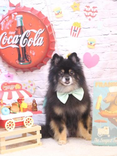 20230924獅子丸くん